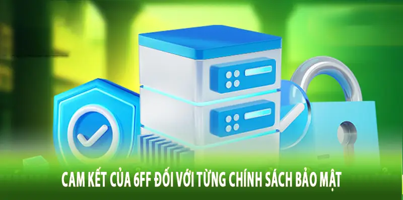Cam kết của 6FF đối với từng chính sách bảo mật
